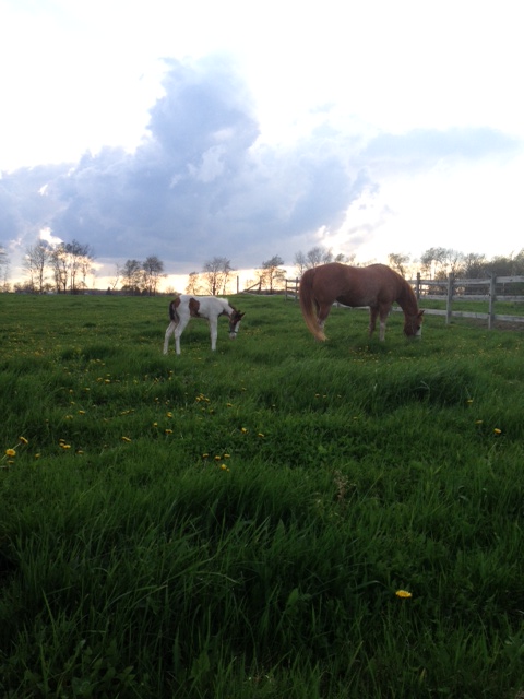 Sunneeta & Baby Mason